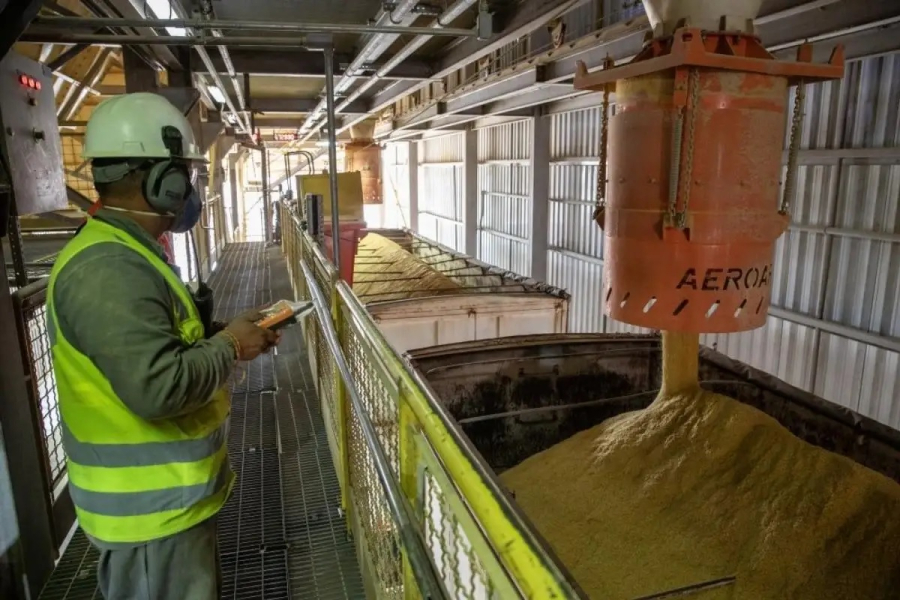 De papel a investimento: ICMS passa a financiar expansão do etanol em MT