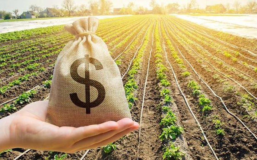 Recuperação judicial no agro acende alerta nos bancos e pode levar a nova regulação