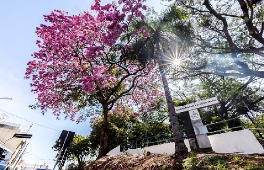 Segunda edição de “Unidos pela Arte” amplia espaço para artistas locais