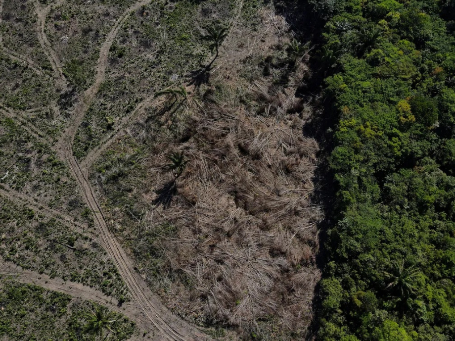 Câmara aprova projeto de lei que proíbe embargo ambiental com base em imagens de satélites
