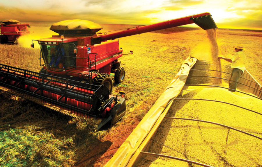 Endividamento do agronegócio dispara e pressiona produtores de MT