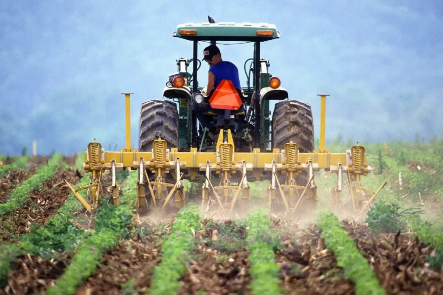 Mais de 60% dos produtores rurais relatam dificuldade para contratar mão de obra em MT
