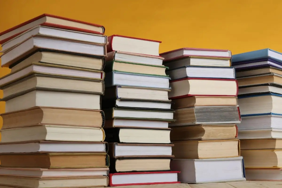 Biblioteca Nacional abre edital para publicação e tradução de autores brasileiros no exterior