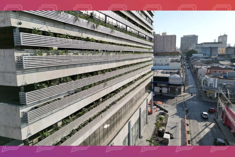 Quase 4 mil mudas adaptadas ao calor formam jardim vertical de 3 mil m² no novo Mercado Municipal de Cuiabá